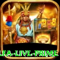 gggalfa Live Prime